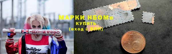 твердый Бородино