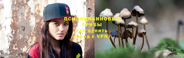СК Бронницы
