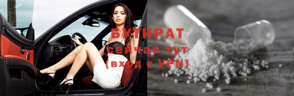 твердый Бородино
