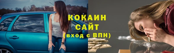 СК Бронницы