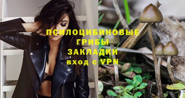 хмурый Верхний Тагил
