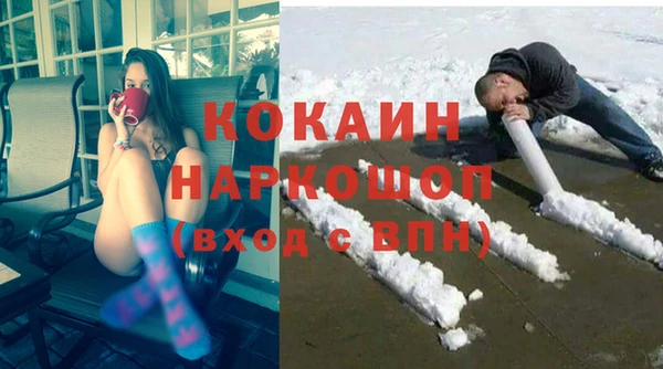 твердый Бородино