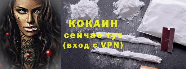твердый Бородино