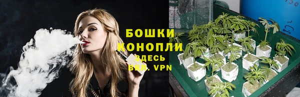 СК Бронницы
