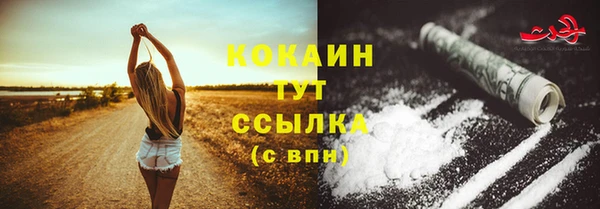 СК Бронницы