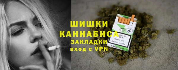 хмурый Верхний Тагил
