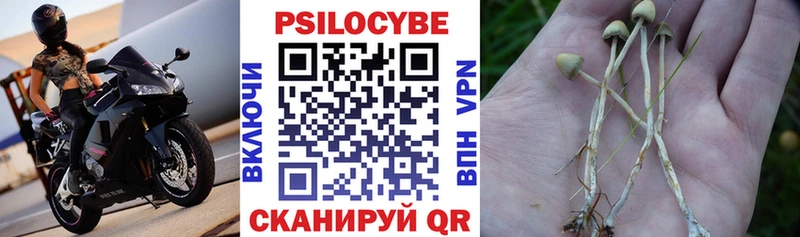 Галлюциногенные грибы прущие грибы Бердск